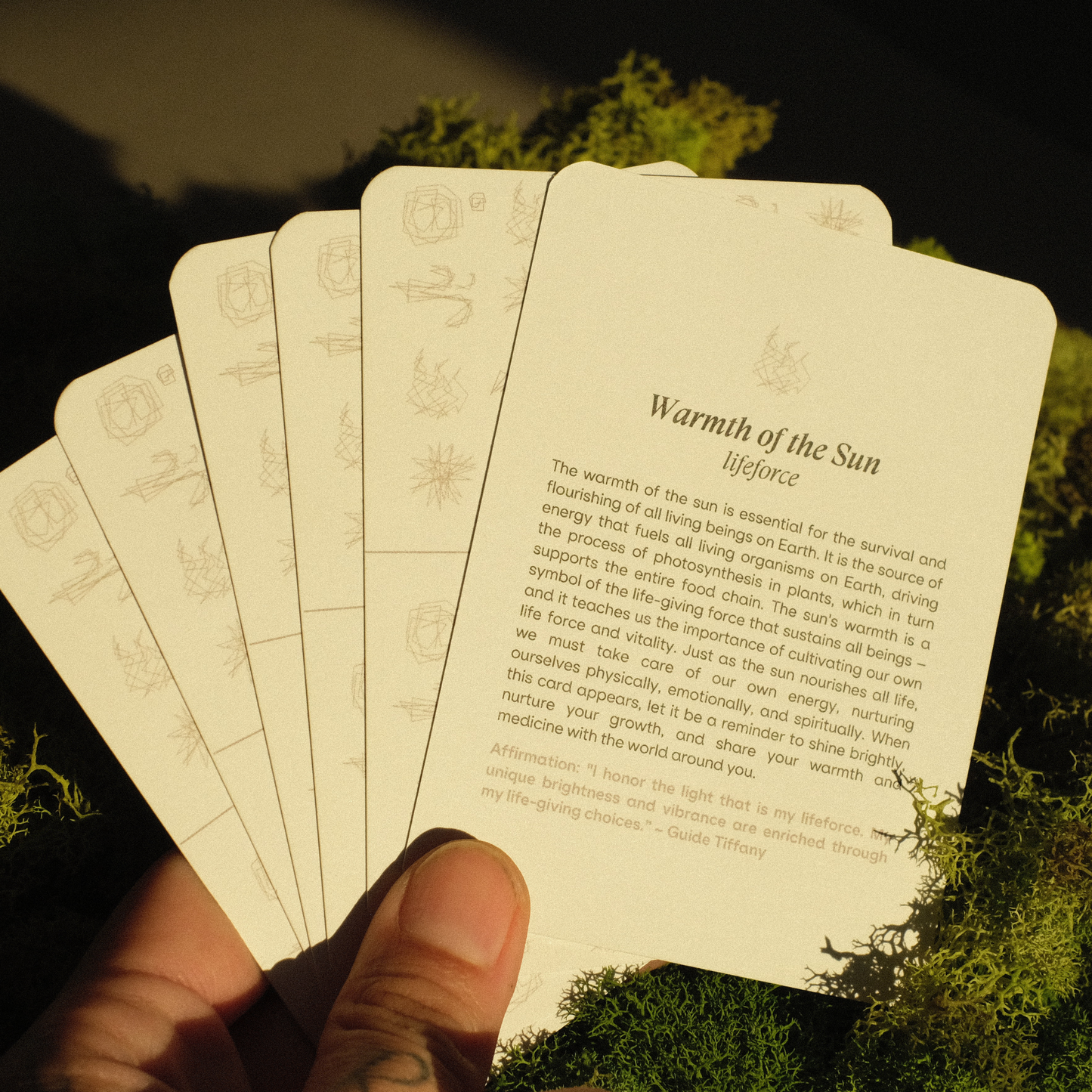 KINRGY Affirmation Deck: We Are Nature By Nature